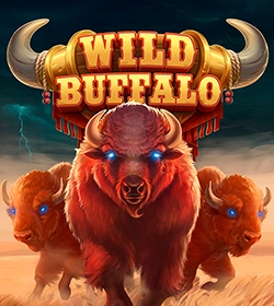 Divoký buffalo